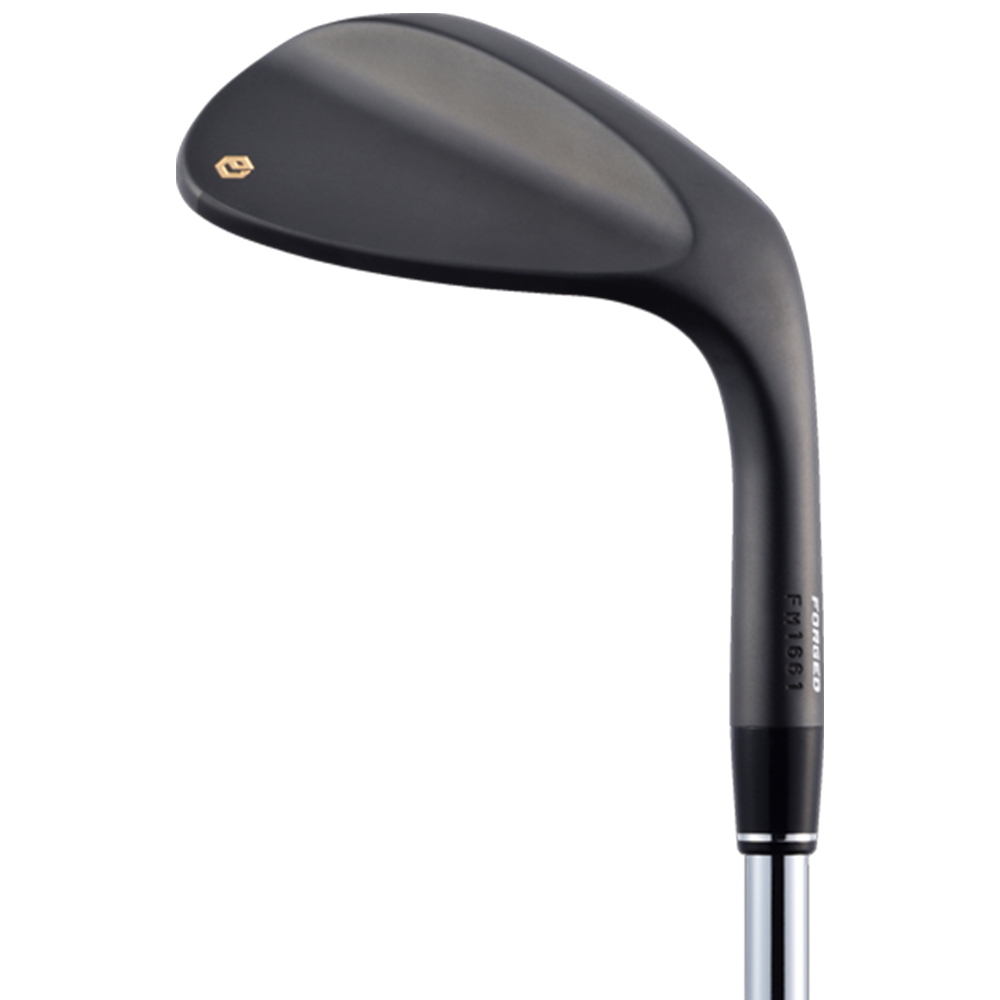 EPON TOUR WEDGE TYPE Kuro (HEAD ONLY)