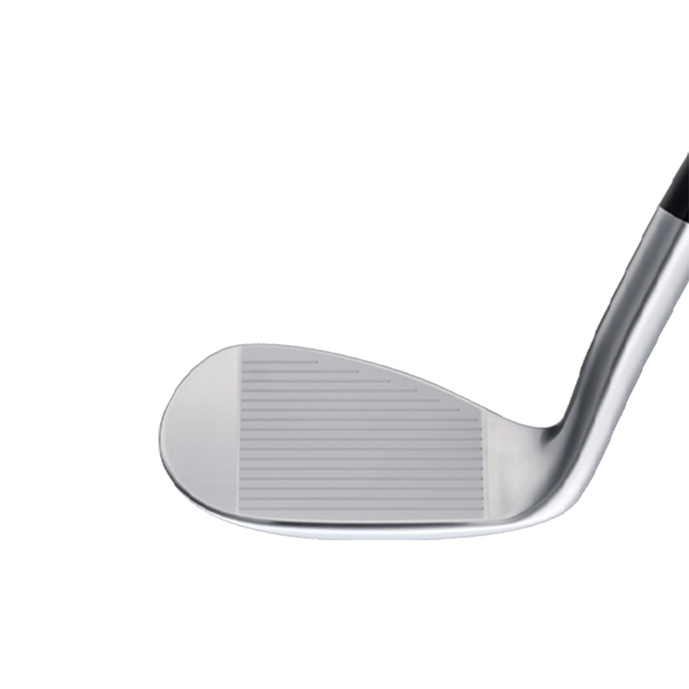 EPON TOUR WEDGE TYPE L (HEAD ONLY)