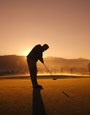 The Grip Master Snake Skin Putter Grip
